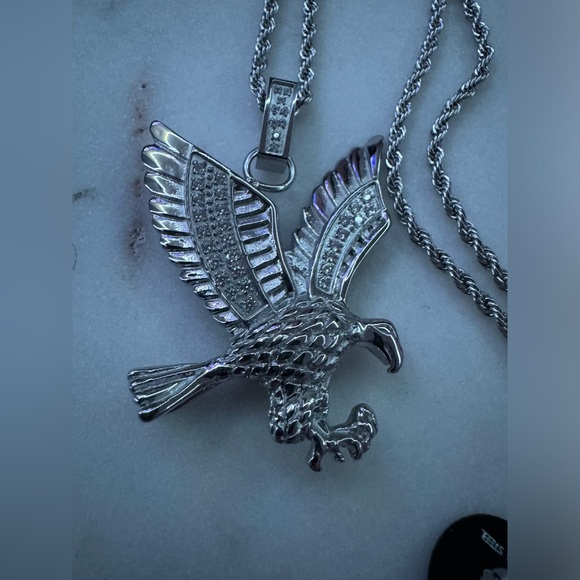 Mens Stainless Steel
Cubic Zirconia Eagle
Pendant Necklace With 24" Rope Chain - Picture 3 of 4